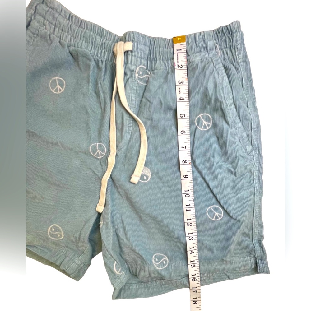 Aeropostale Shorts - Picture 4 of 7